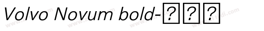 Volvo Novum bold字体转换 Volvo Novum bold字体转换